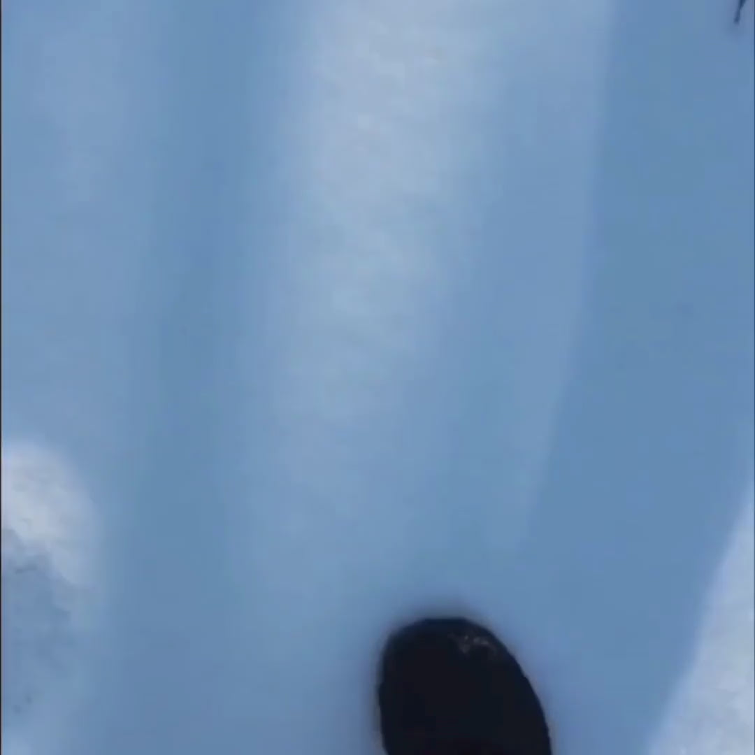 Chaussures d'hiver minimalistes unisexes